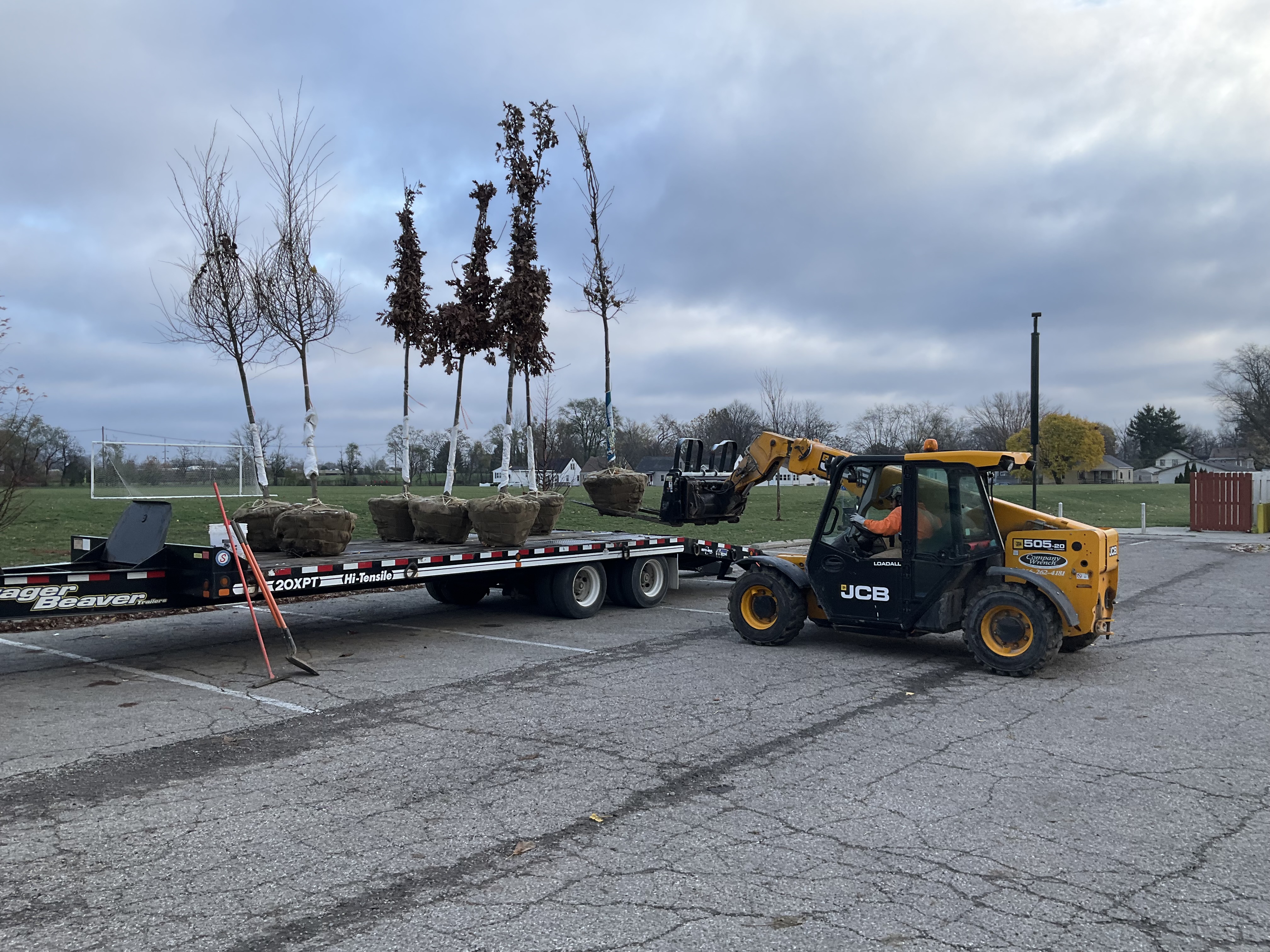 Five trees on a flatbed ready to be planted.