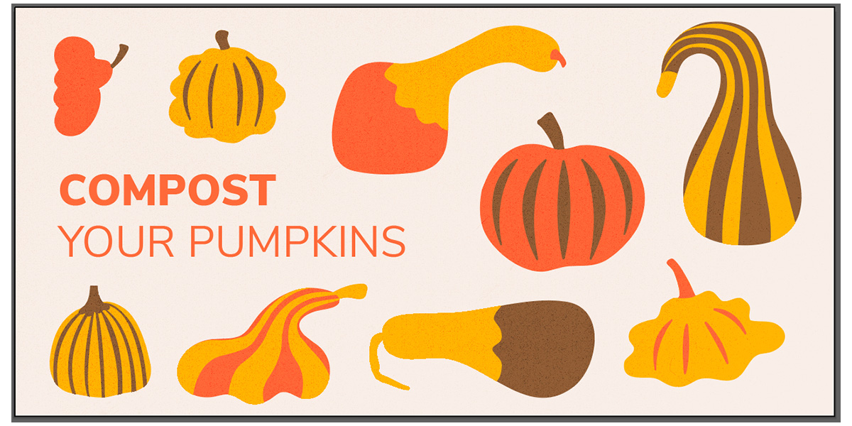 Compost your pumpkins