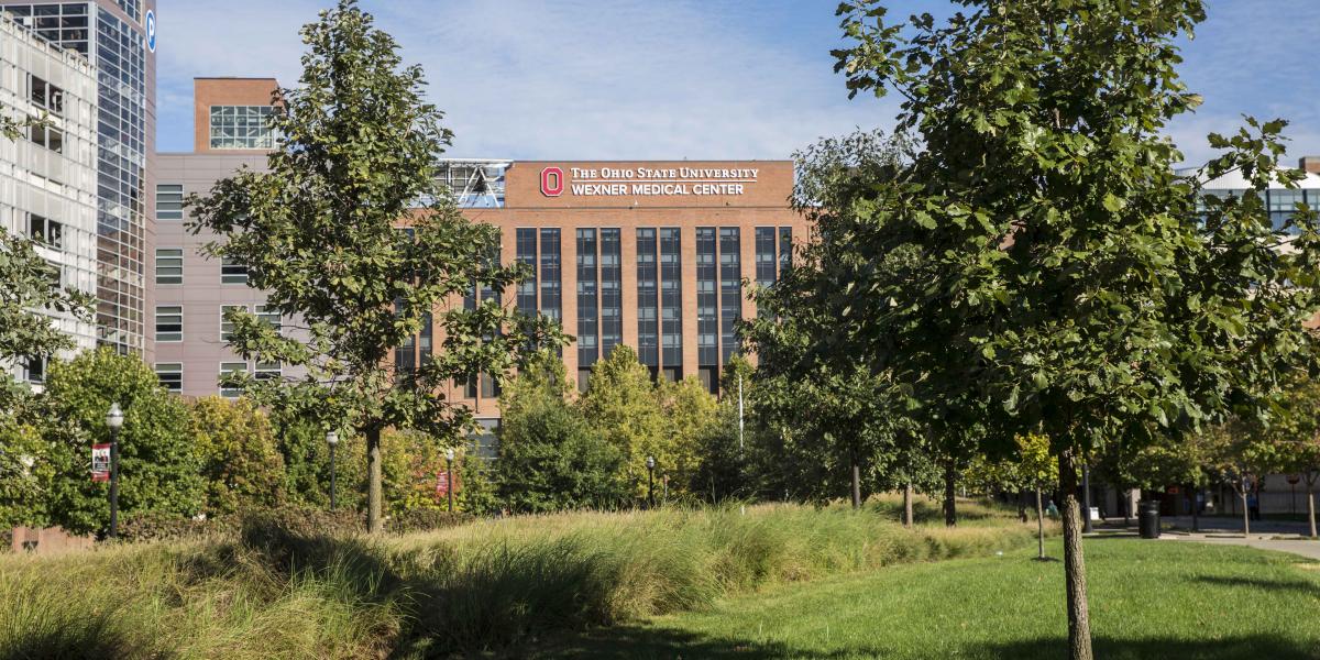 A green meadow with the Wexner Medical Center in the background