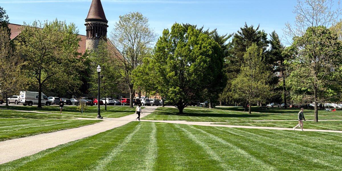 The Oval with green, freshly cut grass and green trees.