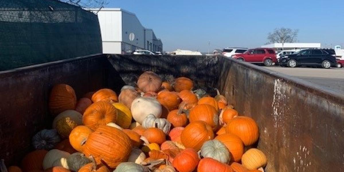 A large dumpster full of dozens of white, green, yellow and orange pumpkins.