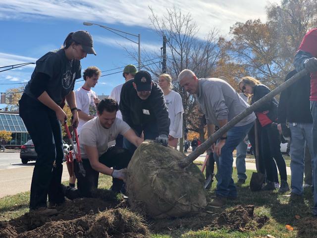 Volunteers gather around staff as they plant a tree.