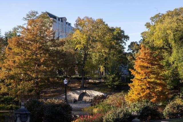 fall day on campus