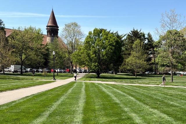 The Oval with green, freshly cut grass and green trees.