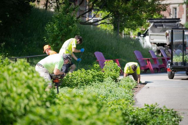 FOD landscaping crew planting flowers and shrubs at Mirror Lake.