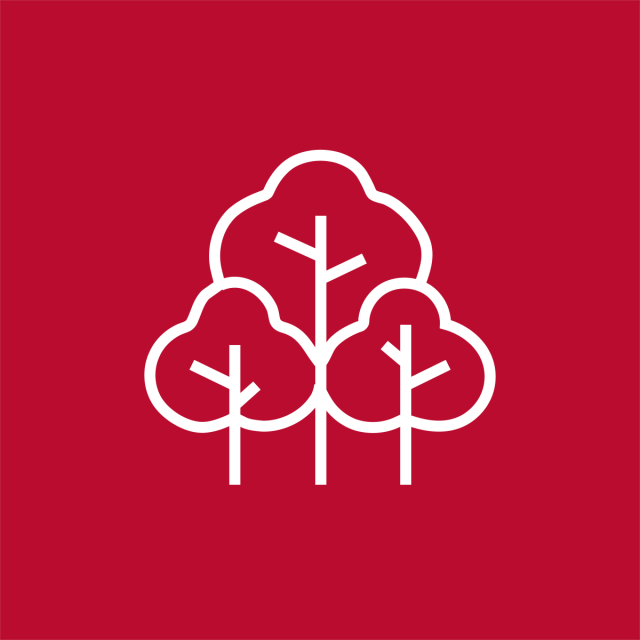 Icon of a group of trees