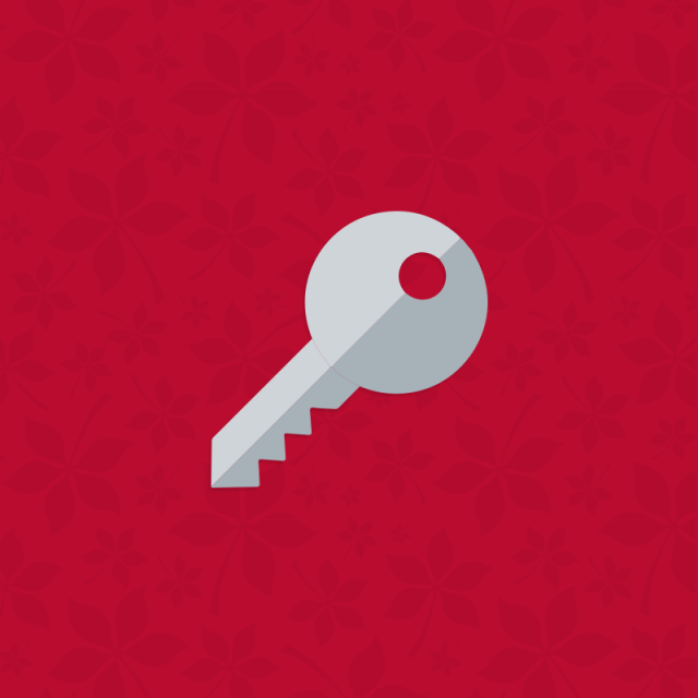 Icon of a key