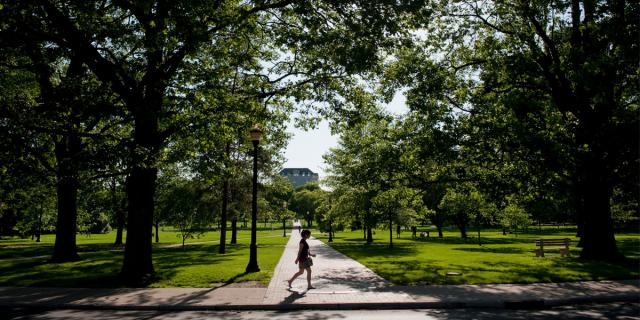 pedestrian walking across the oval