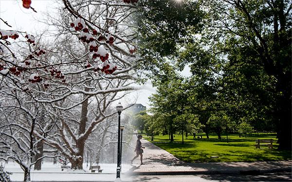 montage image of spring morphing into winter