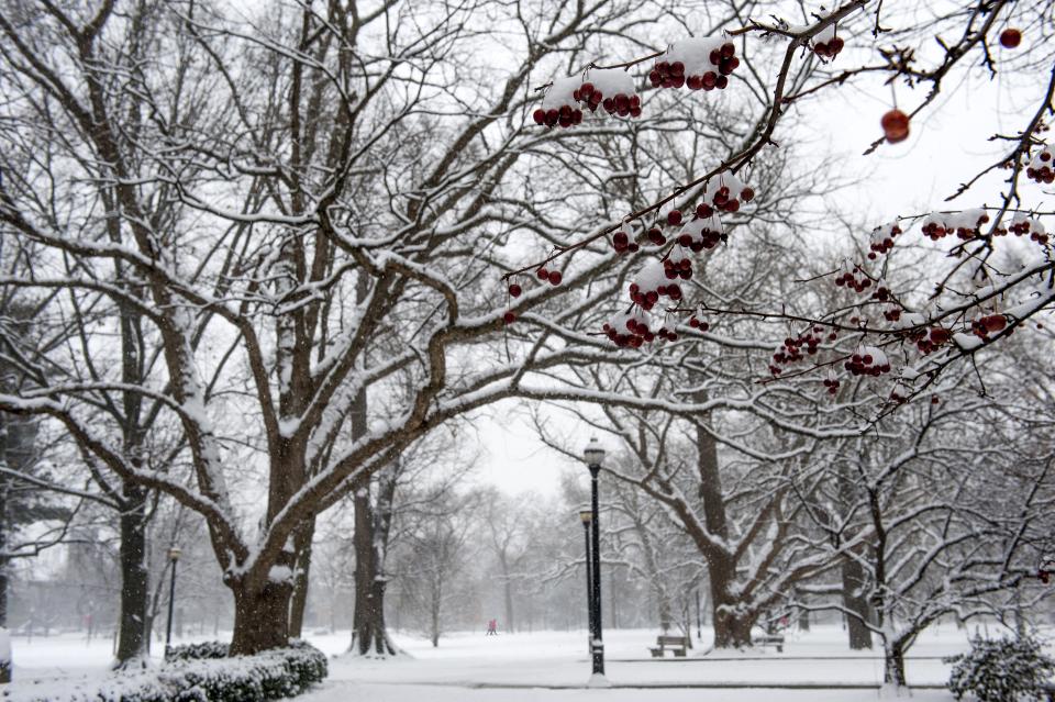 Snow covered trees are shown on the Oval.
