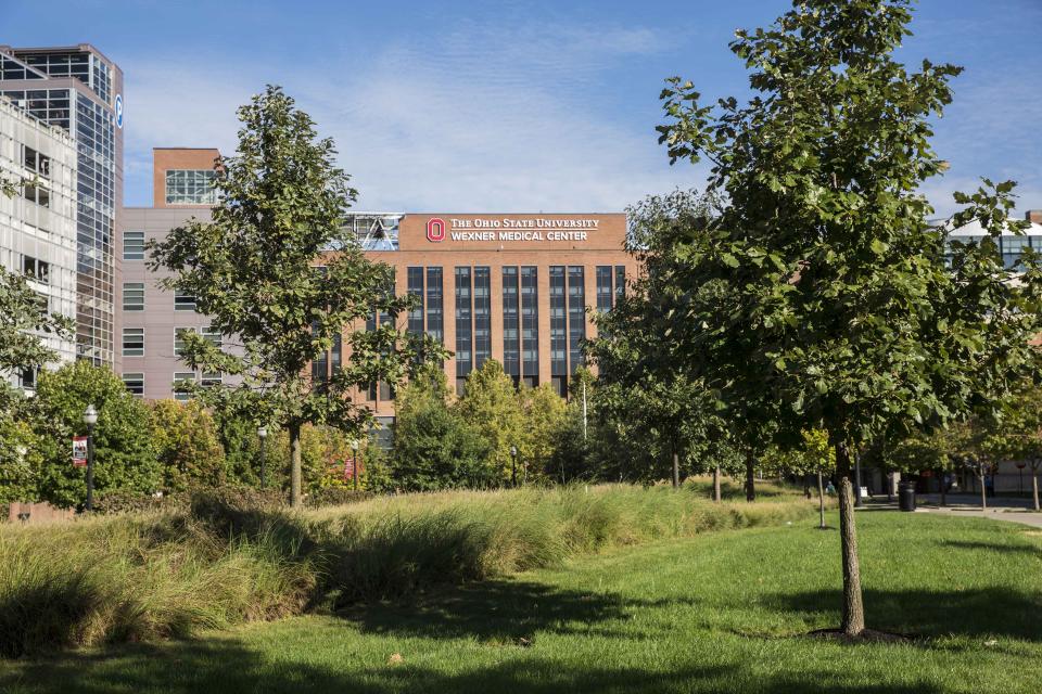 A green meadow with the Wexner Medical Center in the background