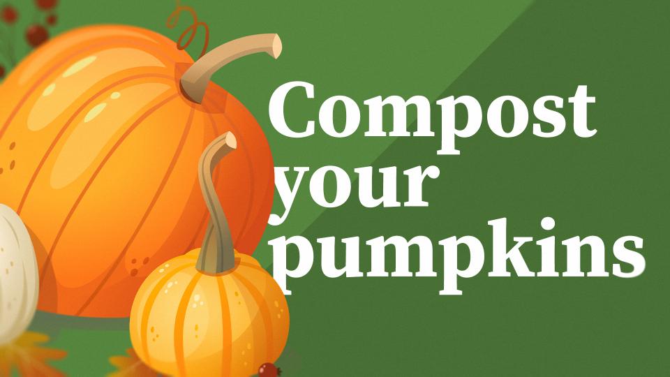 An orange cartoon pumpkin with text that says, "Compost your pumpkins"