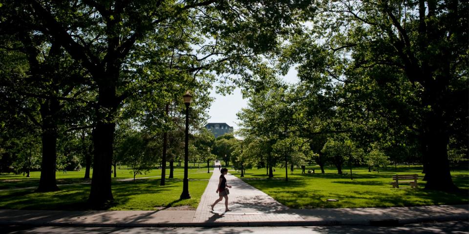 pedestrian walking across the oval