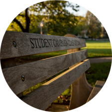 A wooden bench sitting in the oval.