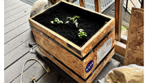 A rock box being used as a planter